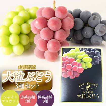 【令和6年産 先行予約】大玉ぶどう3種セット　約2kg　シャインマスカット＋赤系1種＋黒系1種