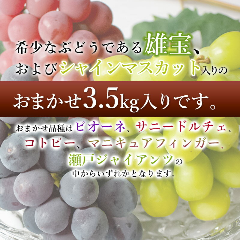 【ふるさと納税】【令和6年産 先行予約】希少ぶどう「雄宝」＆シャインマスカット入りおまかせ 約3.5kg　ピオーネ・サニードルチェ・コトピー・マニキュアフィンガー・瀬戸ジャイアンツ からいずれか（※指定不可） 2