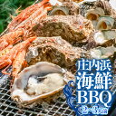 【ふるさと納税】【令和6年産 先行予約】庄内浜 海鮮BBQ(バーベキュー)セット 2〜3人前 K-646 山形県 鶴岡市 楽天ふるさと 納税 支援 返礼品 お取り寄せグルメ 食材 魚介類 海の幸 水産