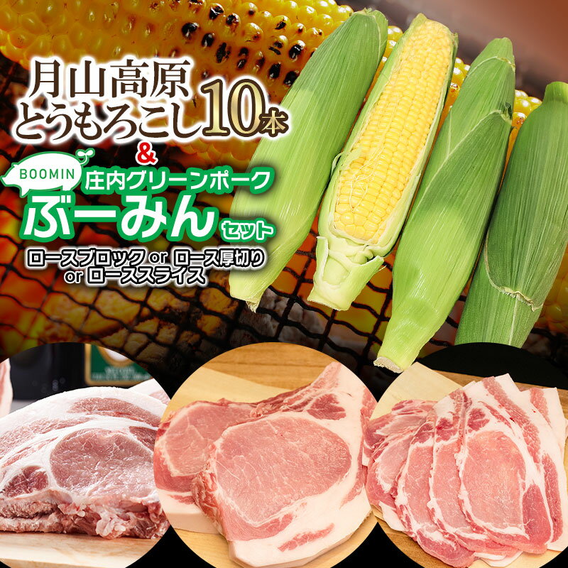 [令和6年産 先行予約]月山高原とうもろこし10本と庄内グリーンポーク“ぶーみん"セット(ロースブロック約500g・ロース厚切り約500g・ローススライス約250g×2P)3種から選べます 庄内豚 豚肉 肉バルYAKU禄 | 山形県 鶴岡市 返礼品 お取り寄せ 豚ロース