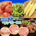 【ふるさと納税】庄内夏野菜と庄内グリーンポーク