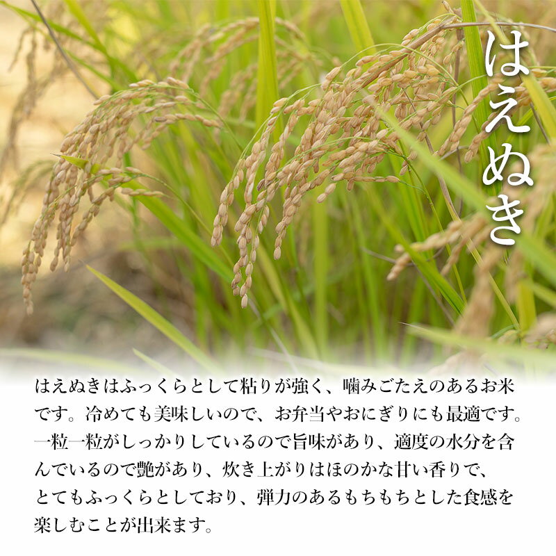 【ふるさと納税】【令和6年産 先行予約】【定期便】特別栽培米 はえぬき 無洗米 10kg（5kg×2袋）×6ヶ月 合計60kg 山形県鶴岡市産