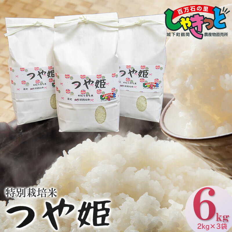 [令和5年産米]特別栽培米 つや姫 精米 6kg(2kg×3袋)山形県庄内産 A15-010 | 鶴岡市 楽天ふるさと 返礼品 支援品 白米 精米 お米 つやひめ ブランド米 名産品 6キロ おこめ お取り寄せ ご当地 特別栽培