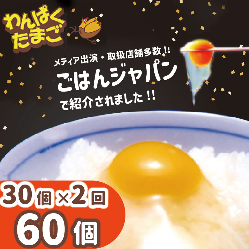 4位! 口コミ数「0件」評価「0」太陽の下放し飼いわんぱく卵 10個入×3パック【2回お届け】