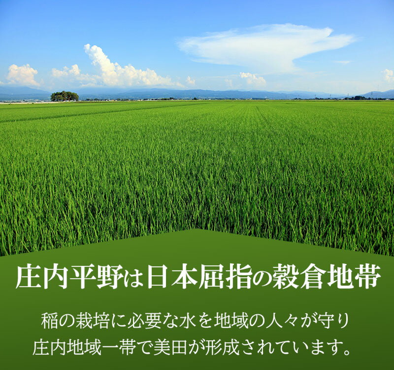 【ふるさと納税】【令和4年産 2022年】【12ヶ月定期便】 ひとめぼれ【乾式無洗米】精米10kg（5kg×2袋）×12回 計120kg　毎月1回中旬発送 新米