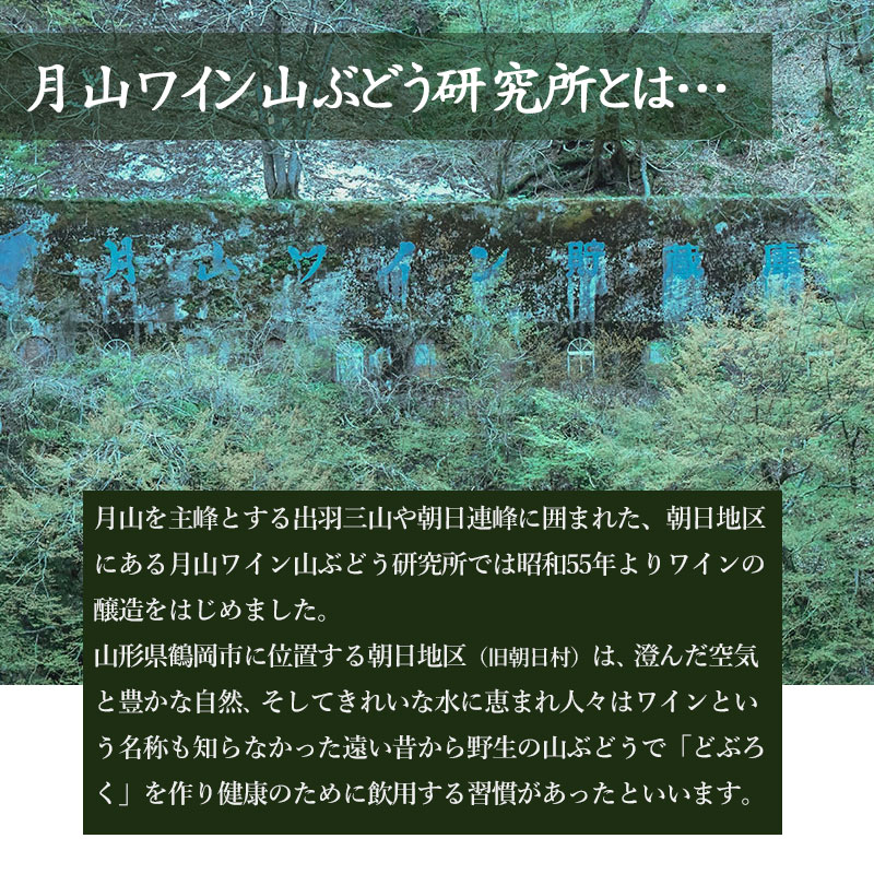 【ふるさと納税】月山ワイン 白ワイン 6本バラエティセット 【ソレイユ・ルバン】甲州シュール・リー シャルドネアンウッド ヴェルデレー セミドライ【豊穣神話】甲州 セイベル白 辛口～甘口 各720ml|山形県 鶴岡市 返礼品 酒 お酒 ワイン 飲み比べ 飲みくらべ 詰め合わせ 白