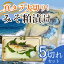 【ふるさと納税】真タラ大切りみそ粕漬け 5切れセット 約500g 鱈 味噌粕漬け