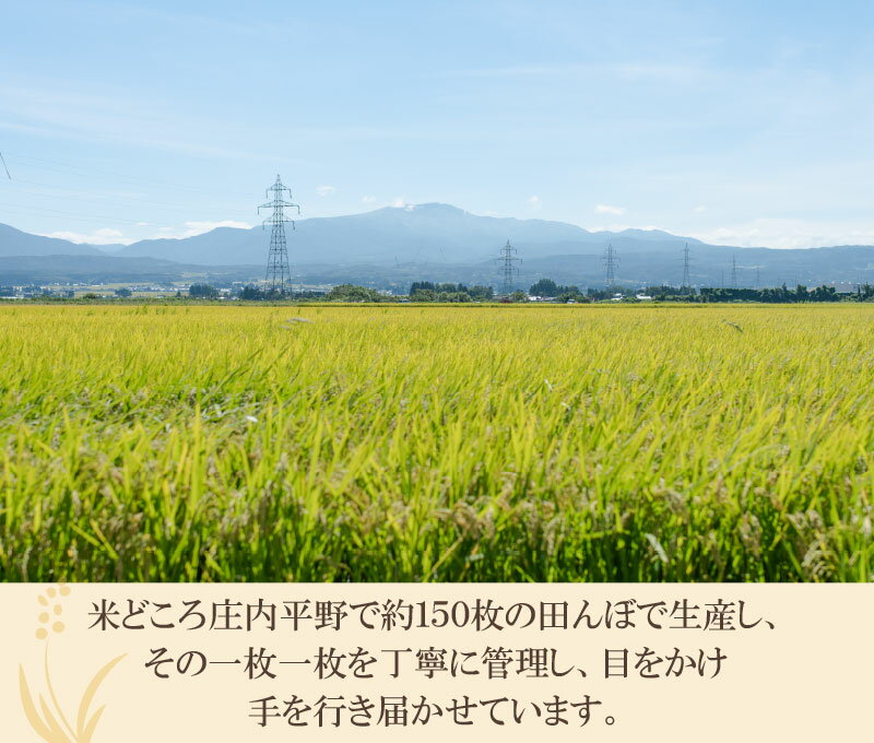 【ふるさと納税】【令和4年産 先行予約】【定期便12ヶ月】井上農場の特別栽培米雪若丸無洗米8kg（2kg×4袋）×12ヶ月　合計96kg