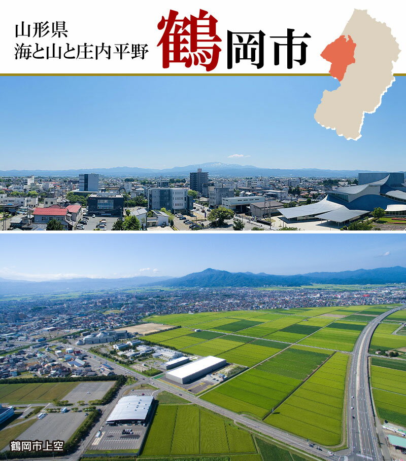 【ふるさと納税】山形県鶴岡市の対象施設で使える楽天トラベルクーポン 寄付額20,000円 | 楽天ふるさと 納税 山形県鶴岡市 鶴岡市 返礼品 お礼の品 トラベルクーポン 旅行券 宿泊券 宿泊チケット クーポン 国内旅行 チケット 利用券 トラベル 東北 旅行 観光クーポン