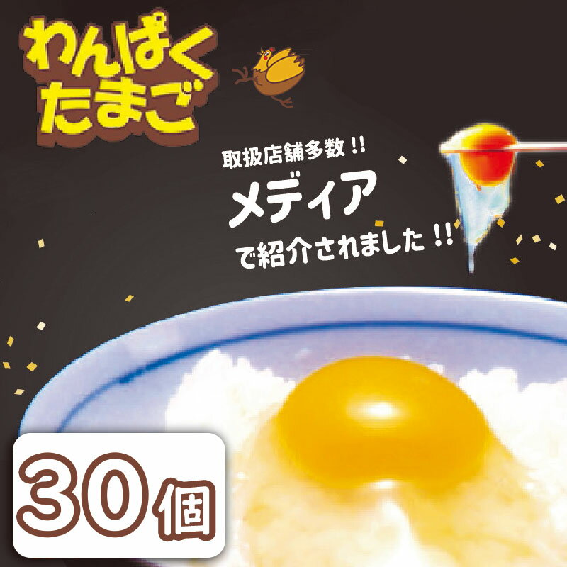 【ふるさと納税】太陽の下放し飼い わんぱく 卵 「10個入×3パック」 計30個