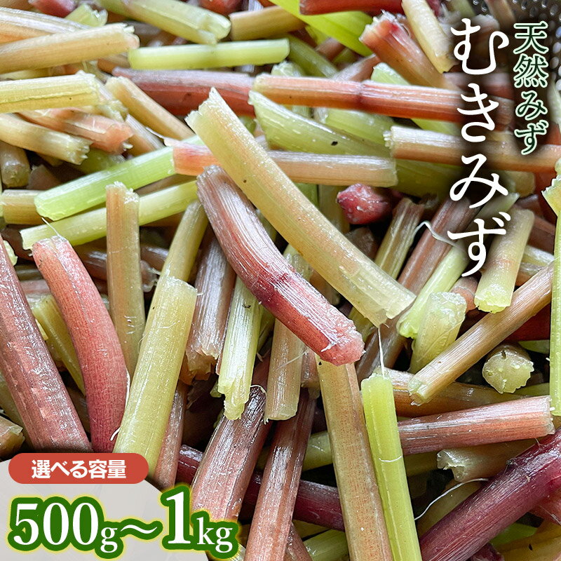 楽天市場】みず 山菜の通販 楽天市場】みず 山菜の通販