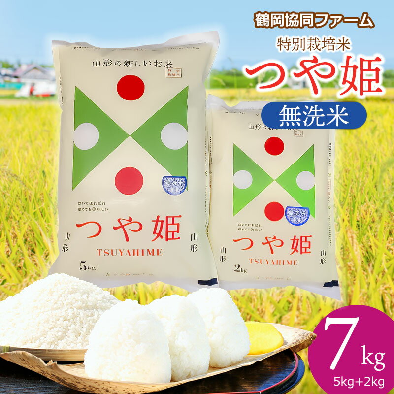 【ふるさと納税】【令和6年産 先行予約】特別栽培米 つや姫【