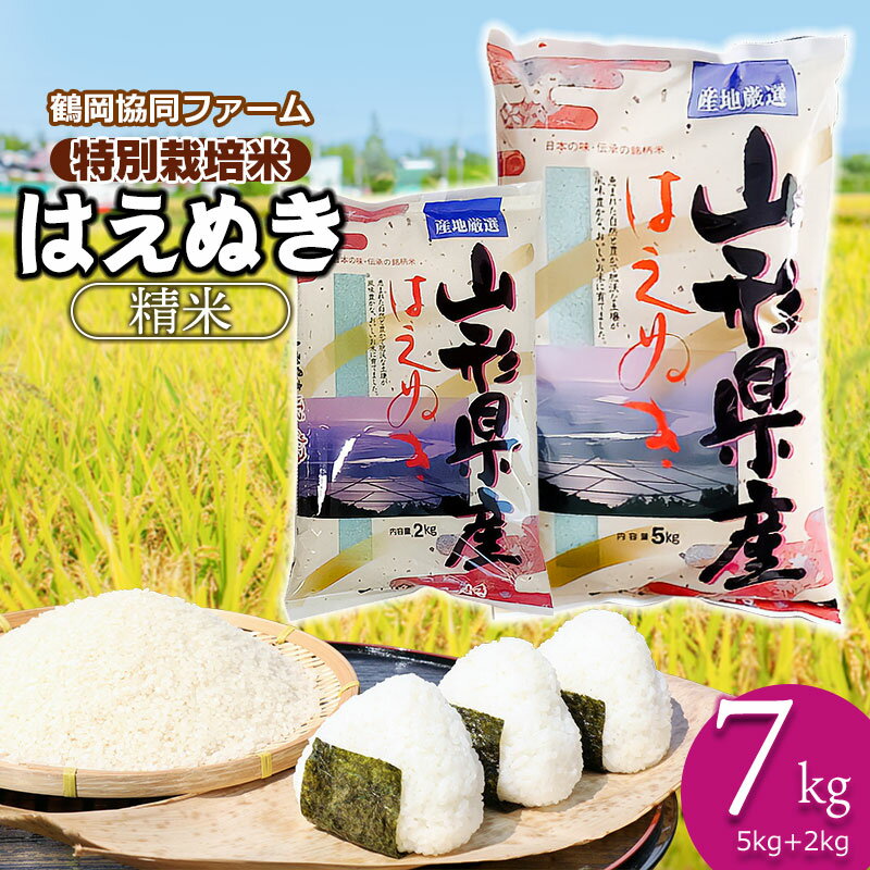 [令和6年産 先行予約]特別栽培米 はえぬき 精米7kg(5kg+2kg) 山形県鶴岡市産