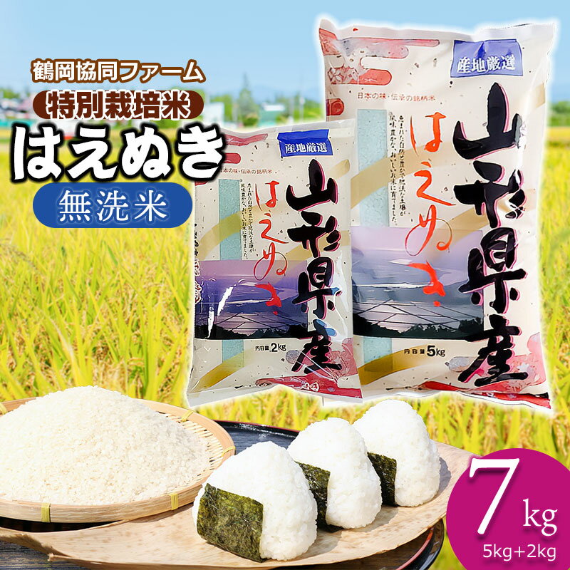 [令和6年産 先行予約]特別栽培米 はえぬき 無洗米 7kg(5kg+2kg) 山形県鶴岡市産