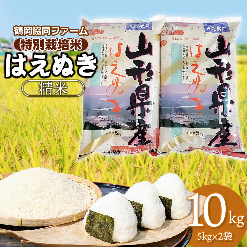 [令和6年産 先行予約]特別栽培米はえぬき10kg(5kg×2袋) 山形県鶴岡市産