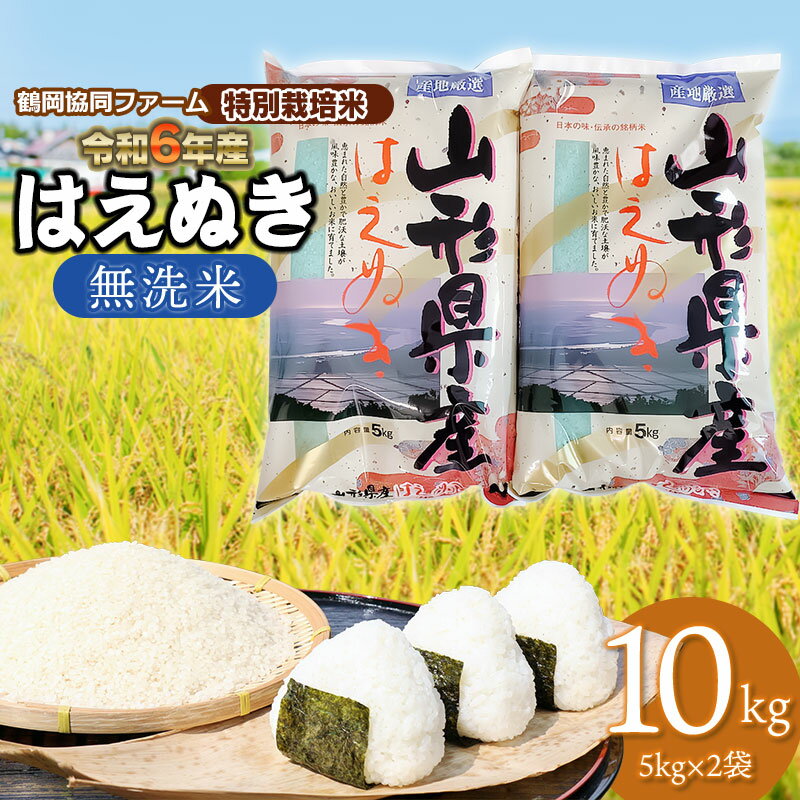 【ふるさと納税】【令和6年産 先行予約】特別栽培米 はえぬき