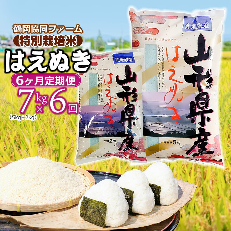 [令和6年産 先行予約][定期便]特別栽培米 はえぬき 精米7kg(5kg+2kg)×6ヶ月 合計42kg 山形県鶴岡市産