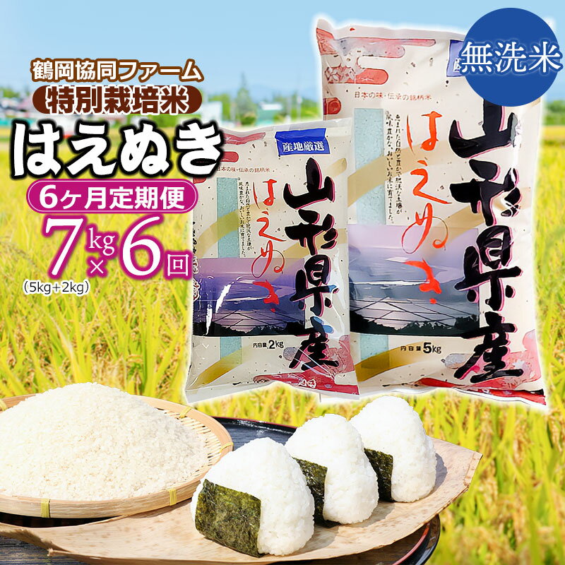 [令和6年産 先行予約][定期便]特別栽培米 はえぬき 無洗米 7kg(5kg+2kg)×6ヶ月 合計42kg 山形県鶴岡市産
