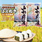 【ふるさと納税】【令和6年産 先行予約】【定期便】特別栽培米 はえぬき 精米10kg（5kg×2袋）×6ヶ月 合計60kg 山形県鶴岡市産