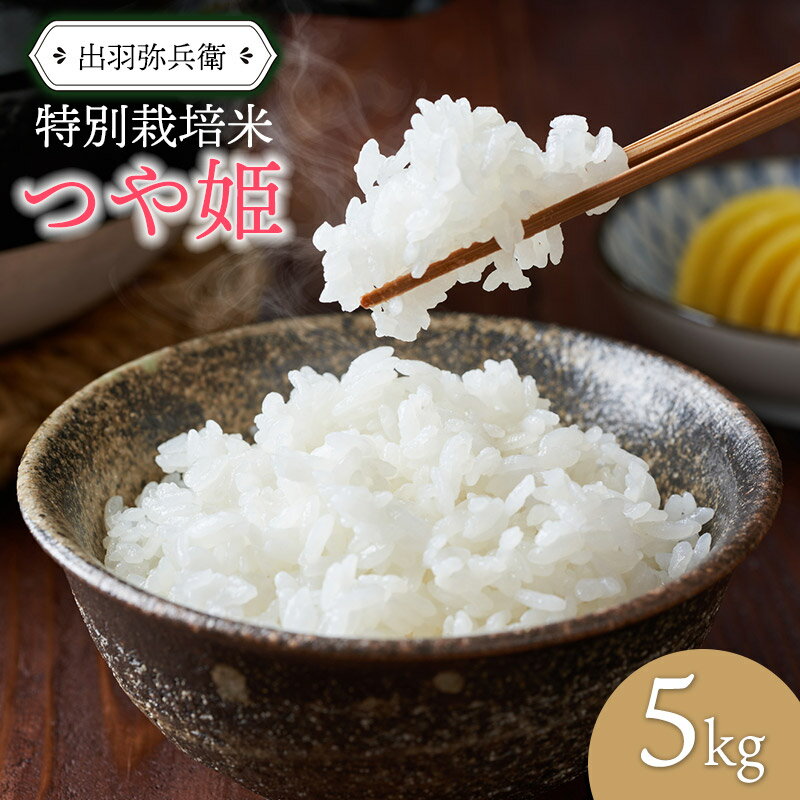 数量限定【令和5年産】特別栽培米つや姫 白米　5kg　山形県鶴岡市産　出羽弥兵衛