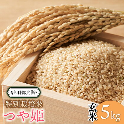 数量限定【令和5年産】特別栽培米つや姫 【玄米】　5kg　山形県鶴岡市産　出羽弥兵衛