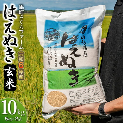 【令和6年産 先行予約】馬町さくらファームのはえぬき 玄米 10kg（5kg×2）　K-630