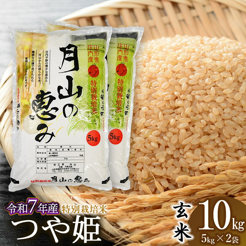 楽天市場】つや姫 玄米 10kgの通販 楽天市場】つや姫 玄米 10kgの通販