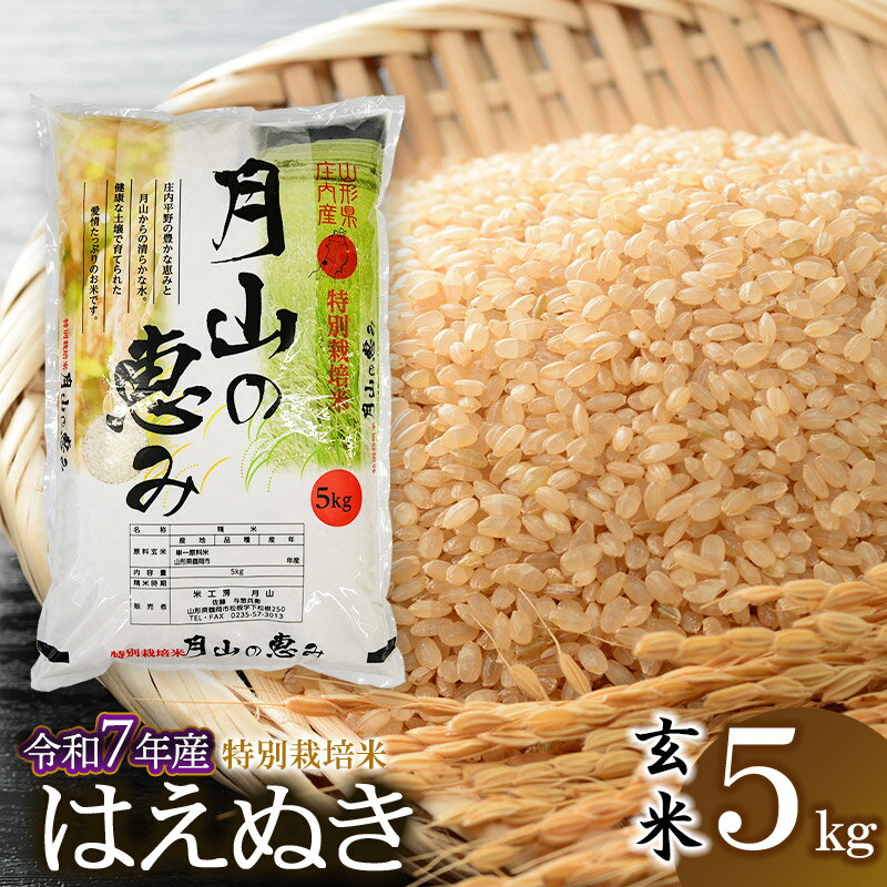 楽天市場】山形県産 はえぬき 玄米の通販 楽天市場】山形県産 はえぬき 玄米の通販