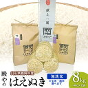 【ふるさと納税】【令和6年産 先行予約】殿やのはえぬき 無洗米 8kg 山形県鶴岡産 A26-001