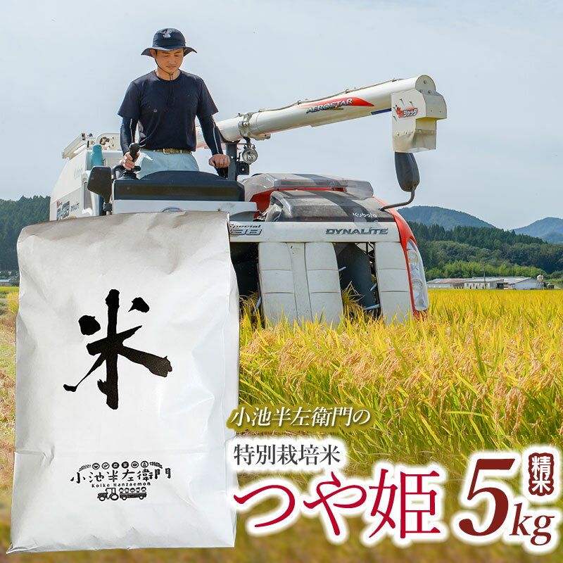 [令和6年産 先行予約]小池半左衛門のお米 特別栽培米 つや姫 精米(白米) 5kg 山形県鶴岡市産