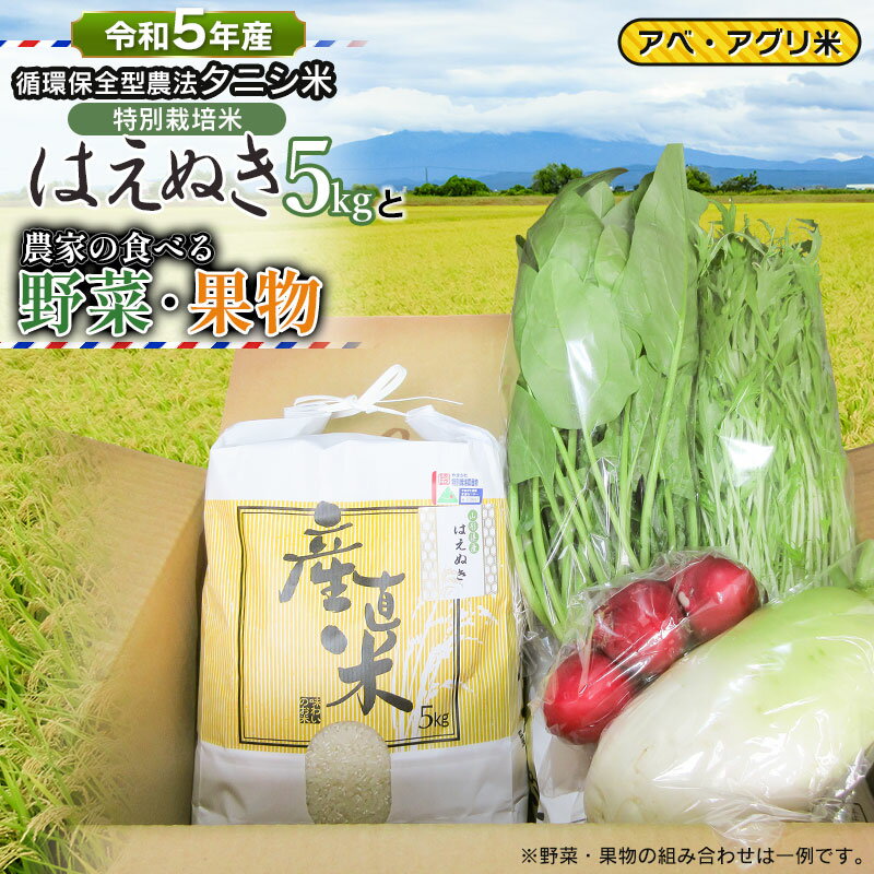 [令和5年産] 特別栽培米 はえぬき(タニシ米)5kgと農家の食べる野菜・果物 山形県鶴岡産 アベ・アグリ米