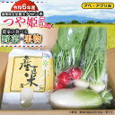 商品説明 名称つや姫（タニシ米）と農家の食べる野菜・果物 内容量・令和6年産 特別栽培米 つや姫 5kg×1袋 ・農家の食べる野菜・果物等　3品以上 ※旬の野菜や果物を厳選しお届けします。 春　五月菜・キャベツ・ウド・フキ・ふきのとう・ブロッコリー・かぶ　他 夏　枝豆・玉ねぎ・ジャガイモ・空心菜・きゅうり・つるむらさき　他 秋　庄内柿・なつめ・なす・ピーマン・里芋・からとり芋・菊・　他 冬　キウイフルーツ・サラダかぶ・白菜・大根・春菊・水菜・ねぎ　他 ※生育の状況により、内容が変わる場合あります。ご了承下さい。 賞味期限〇特別栽培米 つや姫 ※お米は野菜やお肉などと同じ「生鮮食品」です。 　未開封でも月日の経過や保管方法によって品質・食味・風味の劣化、虫の発生や変色等の可能性があります。 　到着後は1ヶ月を目安にお早めにお召し上がりください。 ■保管する場合 お米の保管期限目安は、夏場が3週間、冬場が2ヶ月です。 ※15℃以下の日の当たらない場所で保管して下さい。 （20℃以上の場所に2週間以上お米を置くと、虫が発生する可能性が高くなります。） 　キッチンなどは湿度が高いため、保管場所には向きません。 　冷蔵庫の野菜室がお勧めできる保管場所です。 〇農家の食べる野菜・果物等　3品以上 　生鮮品になります。到着後お早めにお召し上がり下さい。 提供事業者アベ・アグリ米 申込期間令和7年8月23日ご入金分まで 発送時期令和6年10月10日～令和7年8月31日 ※天候や発育状況により、発送期間が前後する場合がございます。 ※お申込み順に発送していきますので予めご了承ください。 ※お届け日のご指定はできません。 発送方法常温発送 返品・交換について ※返礼品の発送には万全を期しておりますが、到着後は必ずすぐに開封し中身の確認をお願いします。 ※装破損・水漏れ・異物・汚れ・誤配送など、異常があった場合はお早めにご連絡ください。当市の不備による初期不良・破損についての交換などの対応は、到着後1週間以内までとさせていただきます。 ※到着後1週間を経過したものについての、返品・交換などの対応は一切お受けできませんので、予めご了承ください。 アレルギー落花生（ピーナッツ）・キウイフルーツ ※写真はイメージです。 ・ふるさと納税よくある質問はこちら ・寄附申込みのキャンセル、返礼品の変更・返品はできません。あらかじめご了承ください。　野菜や果物は、有機肥料を主体にして栽培した自家消費の安心安全な3品以上（市況をみて判断）を一緒にお届けします。 春　五月菜・キャベツ・ウド・フキ・ふきのとう・ブロッコリー・かぶ　他 夏　枝豆・玉ねぎ・ジャガイモ・空心菜・きゅうり・つるむらさき　他 秋　庄内柿・なつめ・なす・ピーマン・里芋・からとり芋・菊・　他 冬　キウイフルーツ・サラダかぶ・白菜・大根・春菊・水菜・ねぎ　他 ＊生育の状況により、内容が変わる場合あります。ご了承下さい。 |アベ・アグリ米 早くから特別栽培米を取り組んでおり、25年以上になります。 その為か、今では珍しいタニシが我が家の田んぼには沢山生息しています。 タニシがいる田んぼのお米は美味しいと言われ、「循環保全型農法」として注目されています。 タニシが軸となりドジョウ・ミミズ、昆虫も多く生息し、それを求めて、サギ、カモメや鴨等の鳥が常に来田しています。 野菜や果物も肥料は米ぬか、鶏糞や菜種油粕を主体に、農薬も殆ど使わず、 本来の甘みや美味しさと安全な食べ物として好評です。 野菜嫌いのお子様も食べるようになったとのお礼も頂いております。 自分が中心に米を、妻が野菜果物を作り、一品ずつ包装しお届けしています。 珍しい野菜や山菜（自家）にはレシピを添えています。 庄内地方のほぼ中心に位置し、南に霊峰月山、北に鳥海山を望み米どころとして栄えた穀倉地帯で作っています。 土は、漫画「美味しんぼ」でお米が美味しい産地として紹介された旧余目町と同じ土質で 粘土質が強いのが特徴、この地域では「土が良い」といっています。 お米の販売を始めて以来、稲や野菜の気持ちになって、丁寧に育ててきました。 お客様に喜んでいただき、美味しい米・野菜をありがとうという言葉が絶えないように日々研究努力を重ねています。 お米と一緒に、自家産の野菜や果物も食べて頂ければと思います。 ※写真はイメージです。 こちらの返礼品は【令和6年産】の先行予約です。 発送時期：令和6年10月10日頃発送開始予定 ※こちらの返礼品は【先行予約】です。発送時期について必ずご確認の上お申し込みください。 ※天候や生育状況などにより発送時期が前後する場合がございます。予めご了承ください。 ※お届け日のご指定はお受けできません。ご了承ください。 ※お申し込み後にお引越しなどでお届け先に変更が生じた場合は、お早めにご連絡をいただきますようお願いいたします。