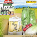  特別栽培米 はえぬき（タニシ米）5kgと農家の食べる野菜・果物　山形県鶴岡産　アベ・アグリ米