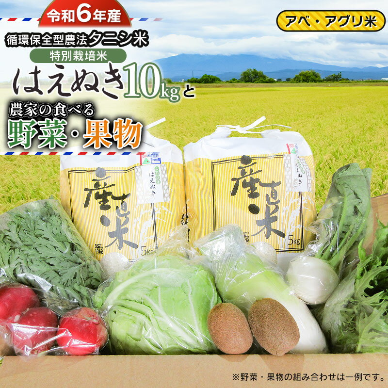 16位! 口コミ数「0件」評価「0」【令和6年産 先行予約】 特別栽培米 はえぬき（タニシ米）10kg（5kg×2袋）と農家の食べる野菜・果物　山形県鶴岡産　アベ・アグリ米