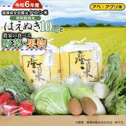 【令和6年産 先行予約】 特別栽培米 はえぬき（タニシ米）10kg（5kg×2袋）と農家の食べる野菜・果物　山形県鶴岡産　アベ・アグリ米