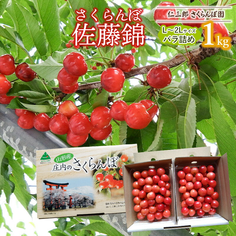 【令和6年産 先行予約】さくらんぼ 佐藤錦（L〜2L）バラ詰め1kg 2024年