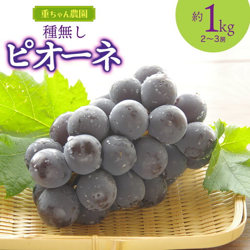 【ふるさと納税】【令和7年産先行予約】種なしピオーネ 1kg(2〜3房)ぶどう 【ふるさと納税】【令和7年産先行予約】種なしピオーネ 1kg(2〜3房)ぶどう