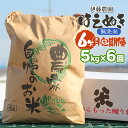 【ふるさと納税】【令和7年産先行予約】6ヶ月定期便 はえぬき 無洗米 5kg×6回 伊藤農園