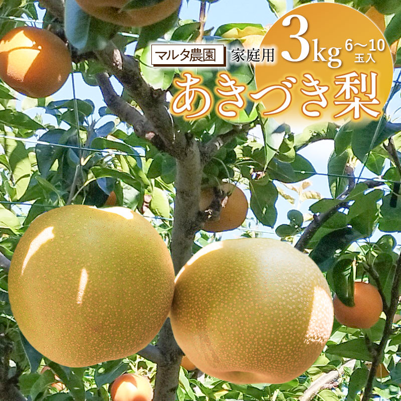 【ふるさと納税】【令和7年産先行予約】 家庭用 和梨 あきづき 3kg(6〜10玉) マルタ農園