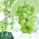 【ふるさと納税】【令和7年産先行予約】 シャインマスカット 1.4kg以上(2房) マルタ農園