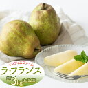 【ふるさと納税】【令和7年産先行予約】鶴岡市産洋梨 ラ・フランス 約3kg(8〜12玉) インフィニファーム K-728