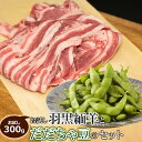 【ふるさと納税】【令和7年産先行予約】”お試し”羽黒緬羊(300g)とだだちゃ豆(約1.2kg)のセット | 肉バルYAKU禄 羊肉 枝豆 山形県 鶴岡市 返礼...