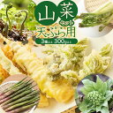 【ふるさと納税】【令和8年発送】山菜セット天ぷら用(3種以上) 計300g以上 山形県鶴岡産 グレイスファーム