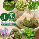 【ふるさと納税】【令和8年発送】山菜セット和え物・おひたし用(4種以上) 計500g以上 山形県鶴岡産 グレイスファーム
