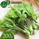 【ふるさと納税】【令和8年発送】山菜 コシアブラ 200g 山形県鶴岡産 グレイスファーム