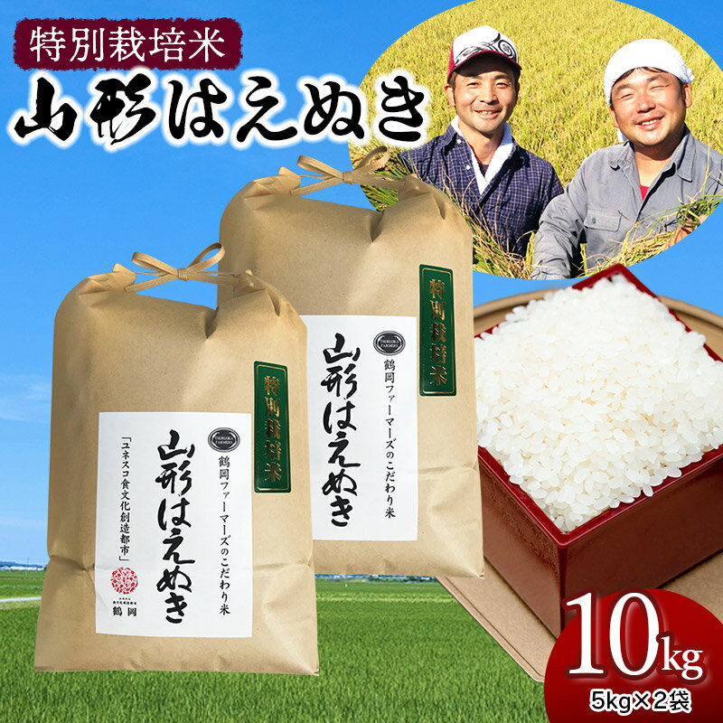 【ふるさと納税】【令和6年産 先行予約】特別栽培米 山形はえぬき 精米 10kg（5kg×2袋） 山形県鶴岡市産 2024年