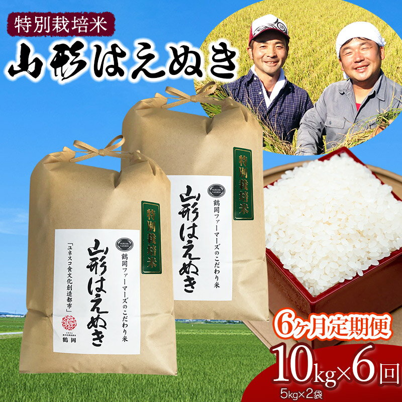 【令和6年産 先行予約】特別栽培米 山形はえぬき 定期便 精米10kg(5kg×2袋)×6ヶ月　山形県鶴岡市産 一等米 2024年