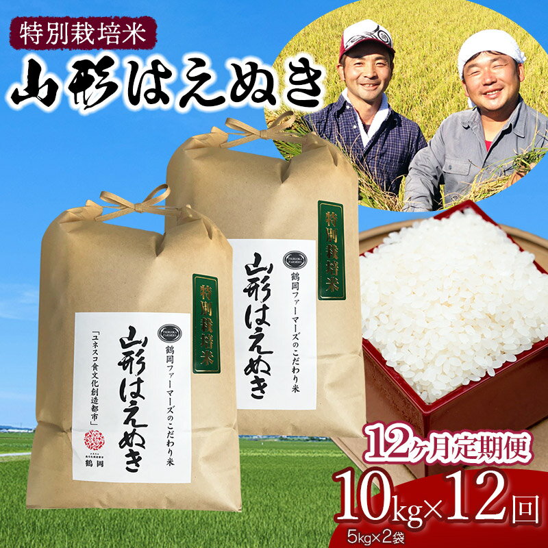 【令和6年産 先行予約】 特別栽培米 山形はえぬき 定期便 精米10kg(5kg×2袋)×12ヶ月　山形県鶴岡市産 一等米 2024年