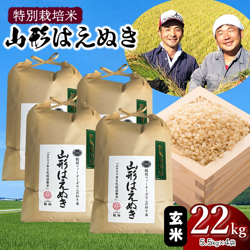 【ふるさと納税】【令和6年産 先行予約】特別栽培米 山形はえぬき【玄米】22kg （5.5kg×4袋） 山形県...