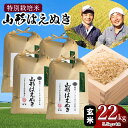 【ふるさと納税】【令和6年産 先行予約】特別栽培米 山形はえぬき【玄米】22kg （5.5kg×4袋） 山形県鶴岡市産 2024年